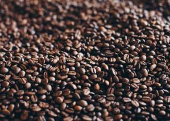 Coffee exports reach new high on EU, US demand