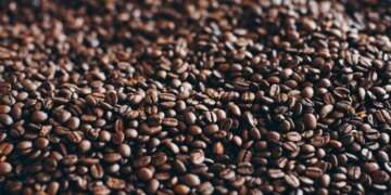 Coffee exports reach new high on EU, US demand