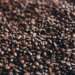 Coffee exports reach new high on EU, US demand