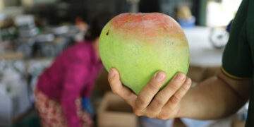 EU hikes imports of Vietnamese fruits, nuts