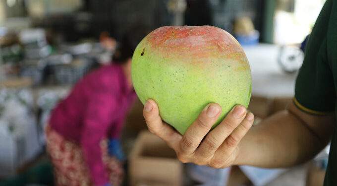 EU hikes imports of Vietnamese fruits, nuts