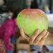EU hikes imports of Vietnamese fruits, nuts