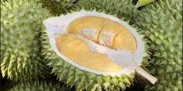 Experts suggest use of AI to control chemical residues in durian