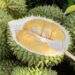 Experts suggest use of AI to control chemical residues in durian