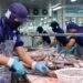 Firms under pressure of rising costs amid trade uncertainty: HSBC survey