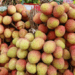 Lychee farmers fear losses as prices drop below $1 per kilogram