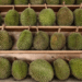 Malaysia’s Penang to crack down on fake Balik Pulau durians