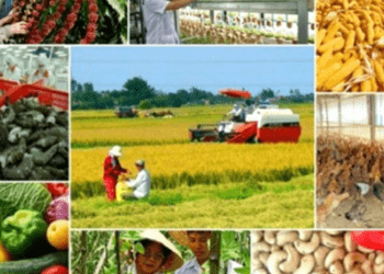 Sản xuất nông nghiệp 5 tháng đầu năm 2025: Nhiều tín hiệu tích cực