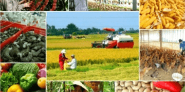Sản xuất nông nghiệp 5 tháng đầu năm 2025: Nhiều tín hiệu tích cực