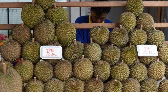 Singapore durian prices set to plunge 30% as Malaysia hits peak harvest