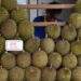 Singapore durian prices set to plunge 30% as Malaysia hits peak harvest