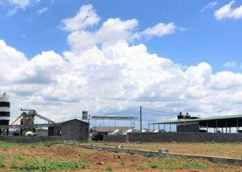 TP HCM giảm 30% tiền thuê đất