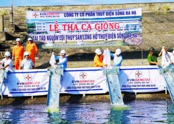 Thả cá giống tái tạo nguồn lợi thủy sản ở lòng hồ Sông Ba Hạ