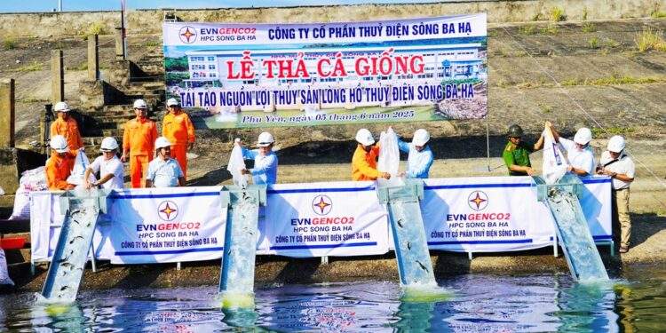 Thả cá giống tái tạo nguồn lợi thủy sản ở lòng hồ Sông Ba Hạ