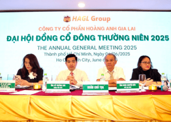Ứng viên được nhóm Thaigroup và LPBS để cử vào HĐQT Hoàng Anh Gia Lai đã rút hồ sơ, không có mặt tại Đại hội
