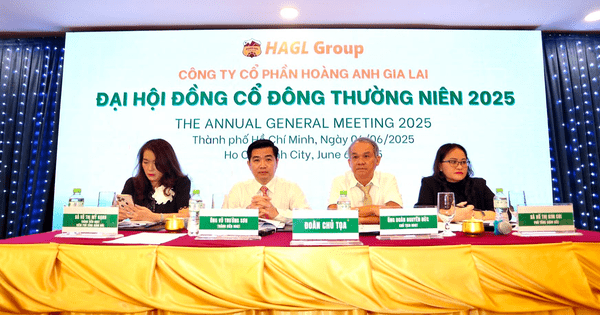 Ứng viên được nhóm Thaigroup và LPBS để cử vào HĐQT Hoàng Anh Gia Lai đã rút hồ sơ, không có mặt tại Đại hội