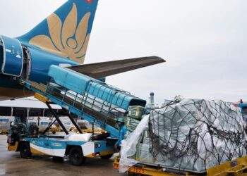 Vietnam Airlines lên kế hoạch thành lập hãng hàng không vận tải hàng hóa