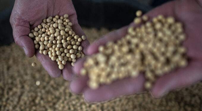Vietnam imports 8M tons of US soybeans