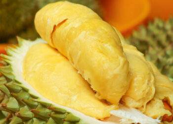 2 tons of durian devoured at US$7 all-you-can-eat buffet in HCMC, forcing early closure