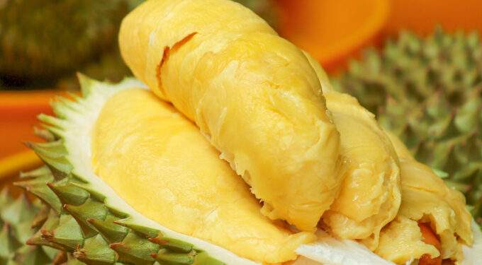 2 tons of durian devoured at US$7 all-you-can-eat buffet in HCMC, forcing early closure