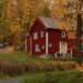 70-year-old mother refuses to let my brothers and me inherit family land, house