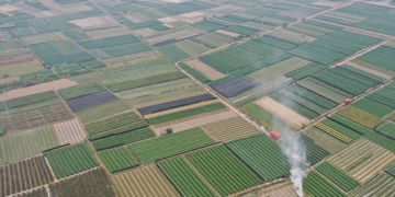 Brothers threaten violence against sisters for inheritance, all lose 2,800 sqm of land