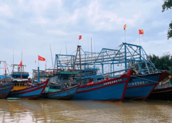 Các tỉnh Bắc Trung Bộ cấp tập ứng phó bão số 3