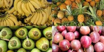 Chanh leo, dứa, dừa, chuối: Tứ trụ trái cây hướng tới mục tiêu tỷ đô