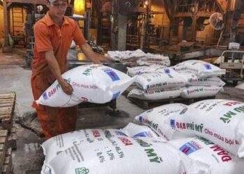 Đạm Phú Mỹ sắp chi hơn 587 tỷ đồng trả cổ tức cho cổ đông