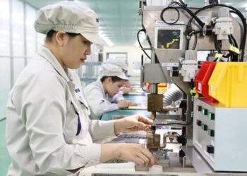 Doanh nghiệp châu Âu mong muốn tận dụng trọn vẹn động lực từ hiệp định EVFTA