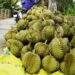 Durian revival drives fruit, vegetable exports to almost $4B