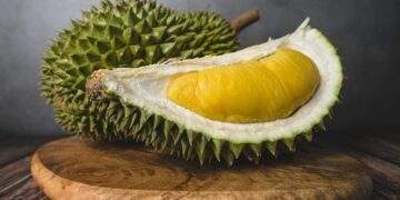 From orchards to shelves: How Malaysian durians make their way to Singapore