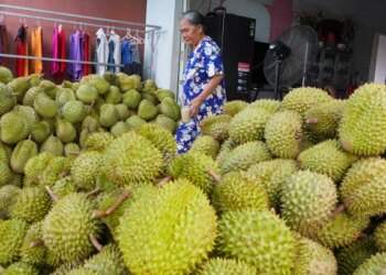 Frozen durian exports triple in H1