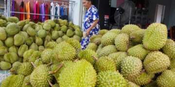 Frozen durian exports triple in H1