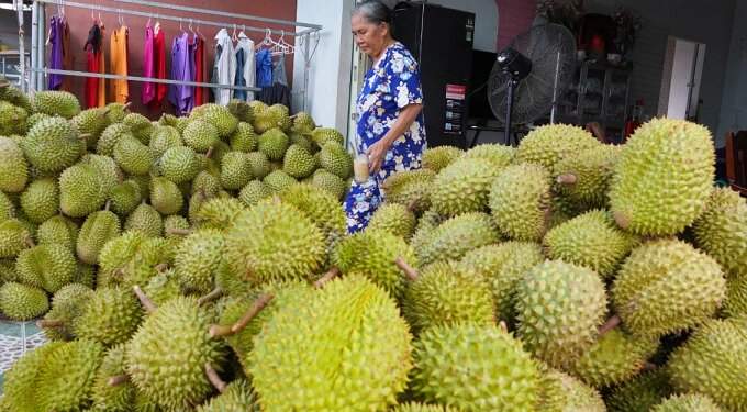 Frozen durian exports triple in H1