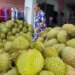 Frozen durian exports triple in H1