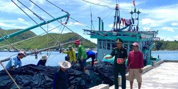 Gia Lai cấm tàu cá không đủ điều kiện ra khơi