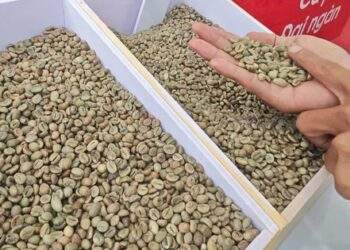 Giảm tiếp, tương lai thế nào?