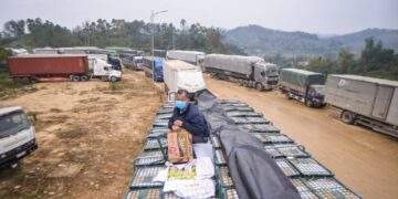 Hoa quả được mùa lại nóng nỗi lo mất giá vì ùn ứ, tắc biên
