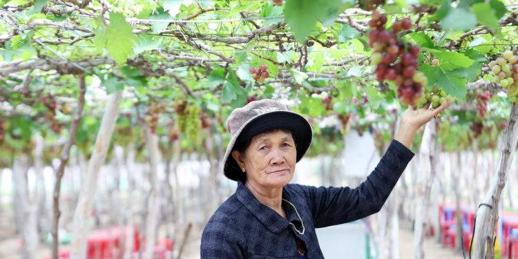 Khánh Hoà kiến nghị bố trí 3.200 tỷ đồng tái định cư hai dự án điện hạt nhân