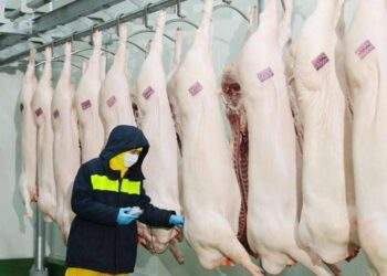 Không có căn cứ quy kết C.P Việt Nam vi phạm an toàn thực phẩm tại Sóc Trăng