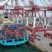 Lần đầu có app đặt xe container, tích hợp cả thủ tục xuất nhập khẩu