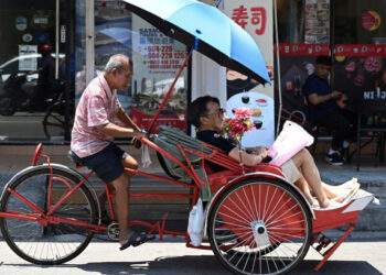 Malaysian adults to receive $24 each on national day
