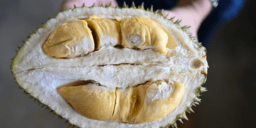 Malaysian minister calls on hotels to allow durians on premises