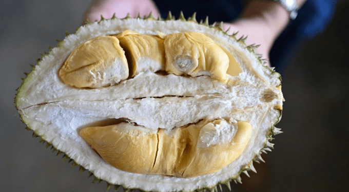 Malaysian minister calls on hotels to allow durians on premises