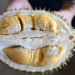 Malaysian minister calls on hotels to allow durians on premises