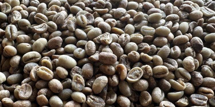 Mexico chi gấp 87 lần mua cà phê Việt, xuất khẩu tăng vọt gần 70% giá trị