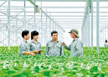 Nâng cao hiệu quả tín dụng chính sách xã hội