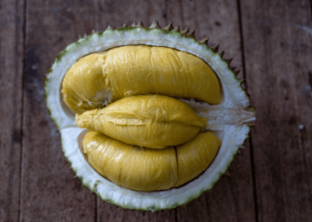New durian center in Malaysia's Johor set to maintain year-round supply, steady prices