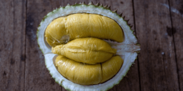 New durian center in Malaysia's Johor set to maintain year-round supply, steady prices
